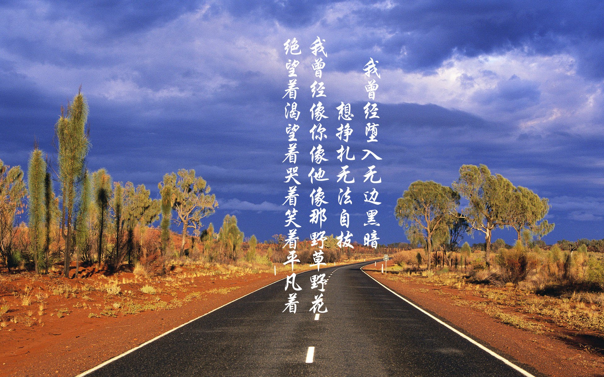 切尔西女足夺冠后球员庆祝画面，切尔西女足队长