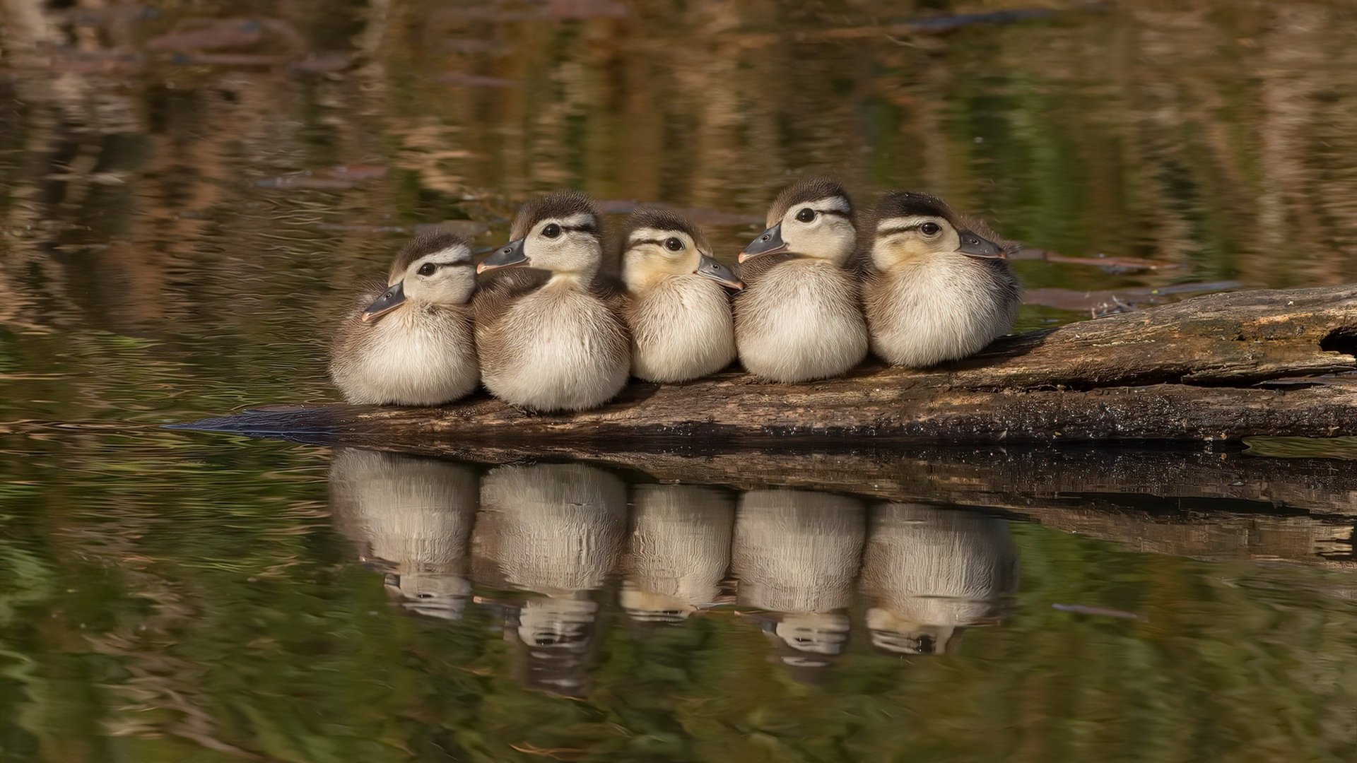 AYX体育官网-体育场馆安全应急预案,体育场馆安全事项清单