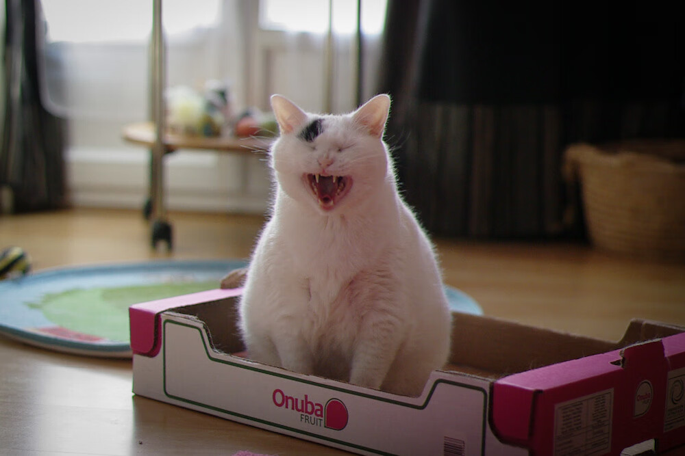 区域性体育赛事对城市品牌建设作用,区域性体育赛事对城市品牌建设作用大吗