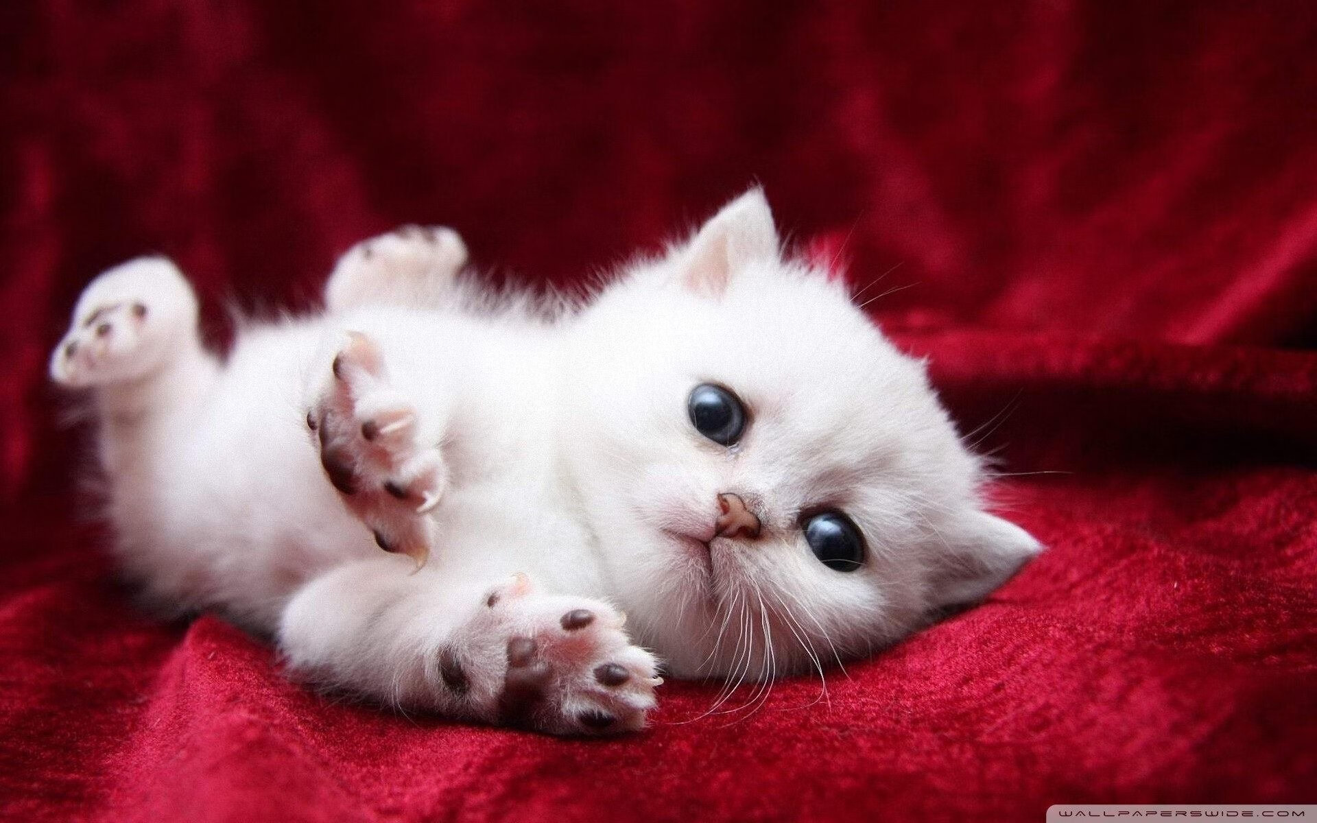 爱游戏下载-欧洲豪门“厮杀”:皇马、拜仁、曼城火拼季