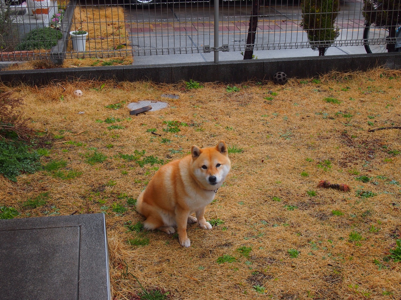 “天府校区台球赛:顶级选手上演精准对决”