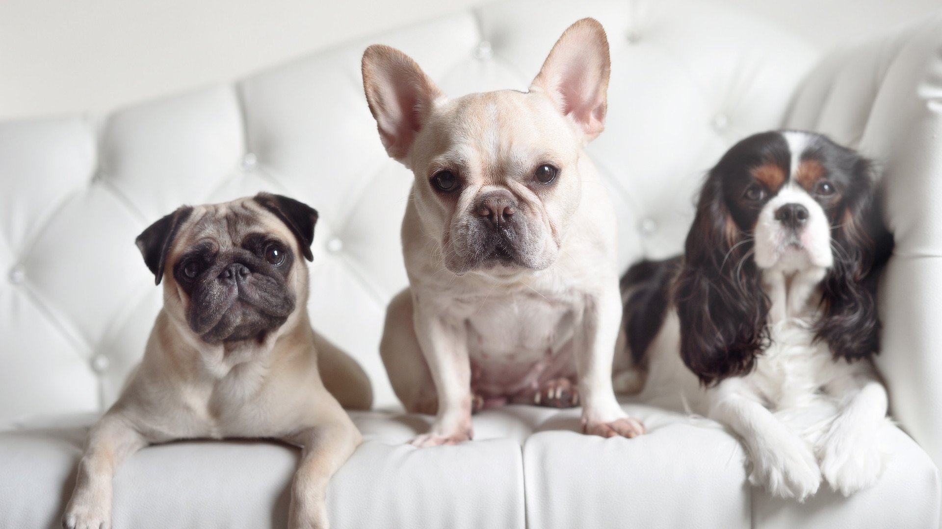 爱游戏电竞-东亚杯中国女足爆冷 战术执行被质疑,女足东亚杯预选赛视频