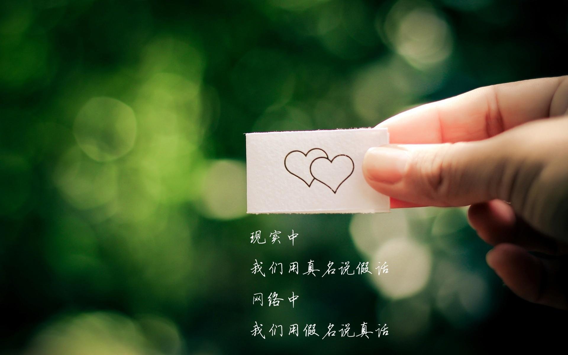 亚冠联赛中国队迎战 球迷氛围火爆异常,亚冠杯中国队