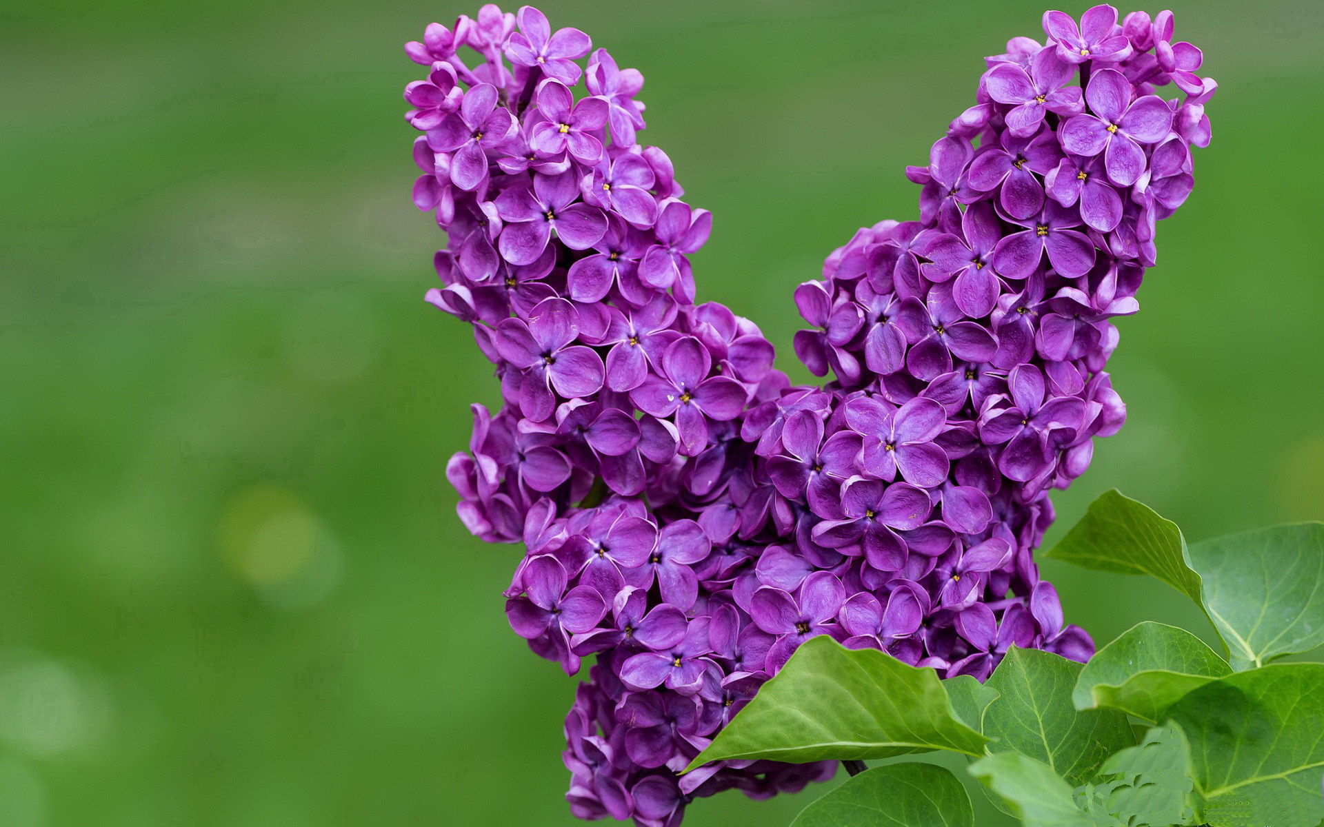 爱游戏体育(AYX)官方APP下载-国家队战术创新机制缺乏,国家队战术创新机制缺乏什么能力