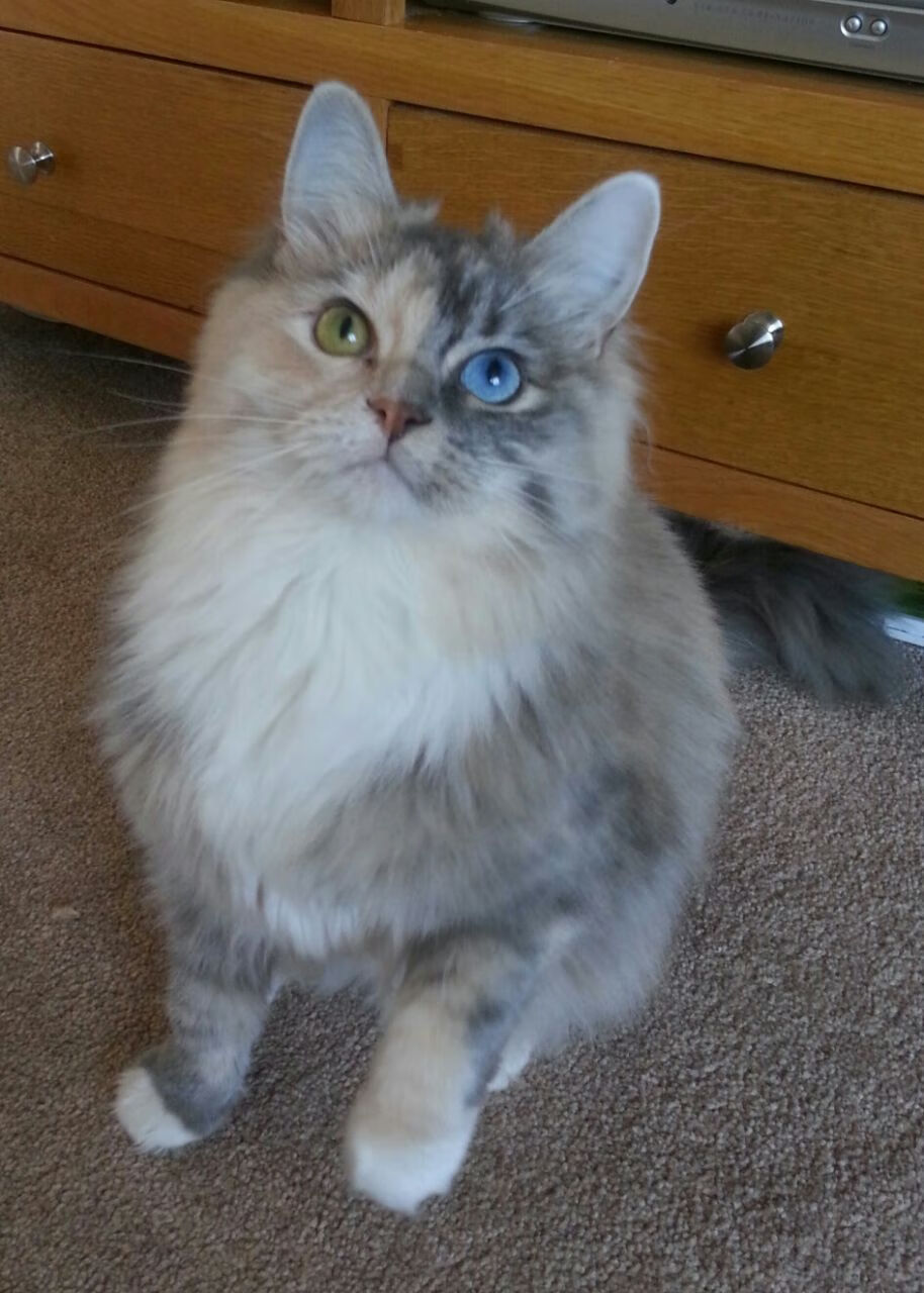 场馆更新换代应用环保节能新技术,场馆智能化改造