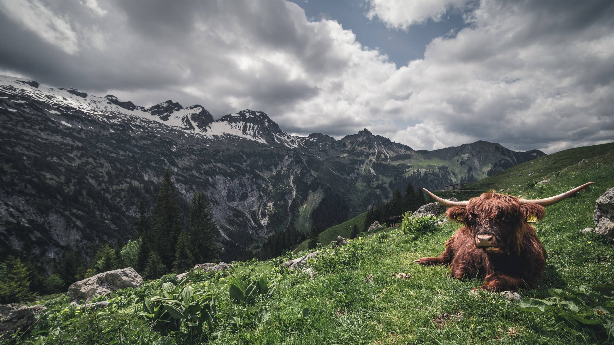 奥运村设施完善提升运动员生活质量,奥运村工作人员