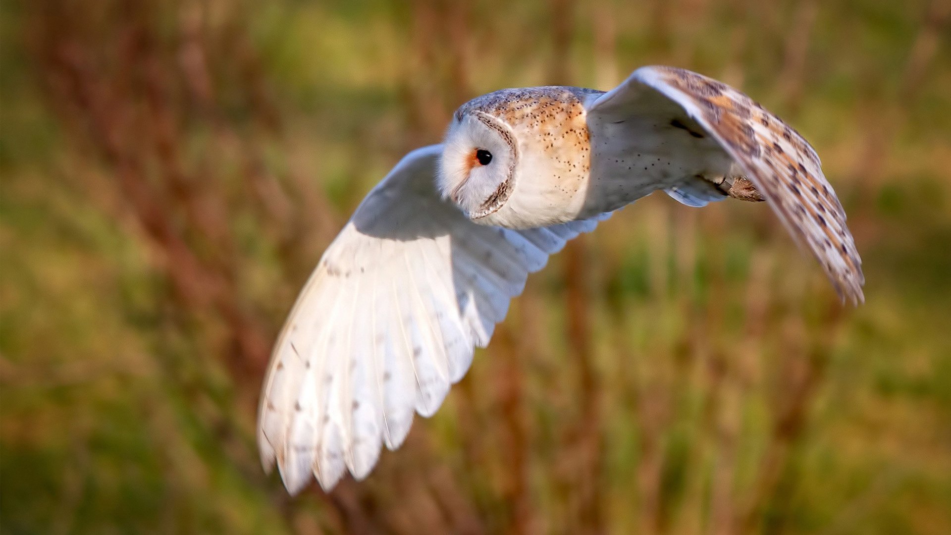 AYX体育官网-奥预赛国家队惨败 球迷反思训练方法,国奥踢联赛