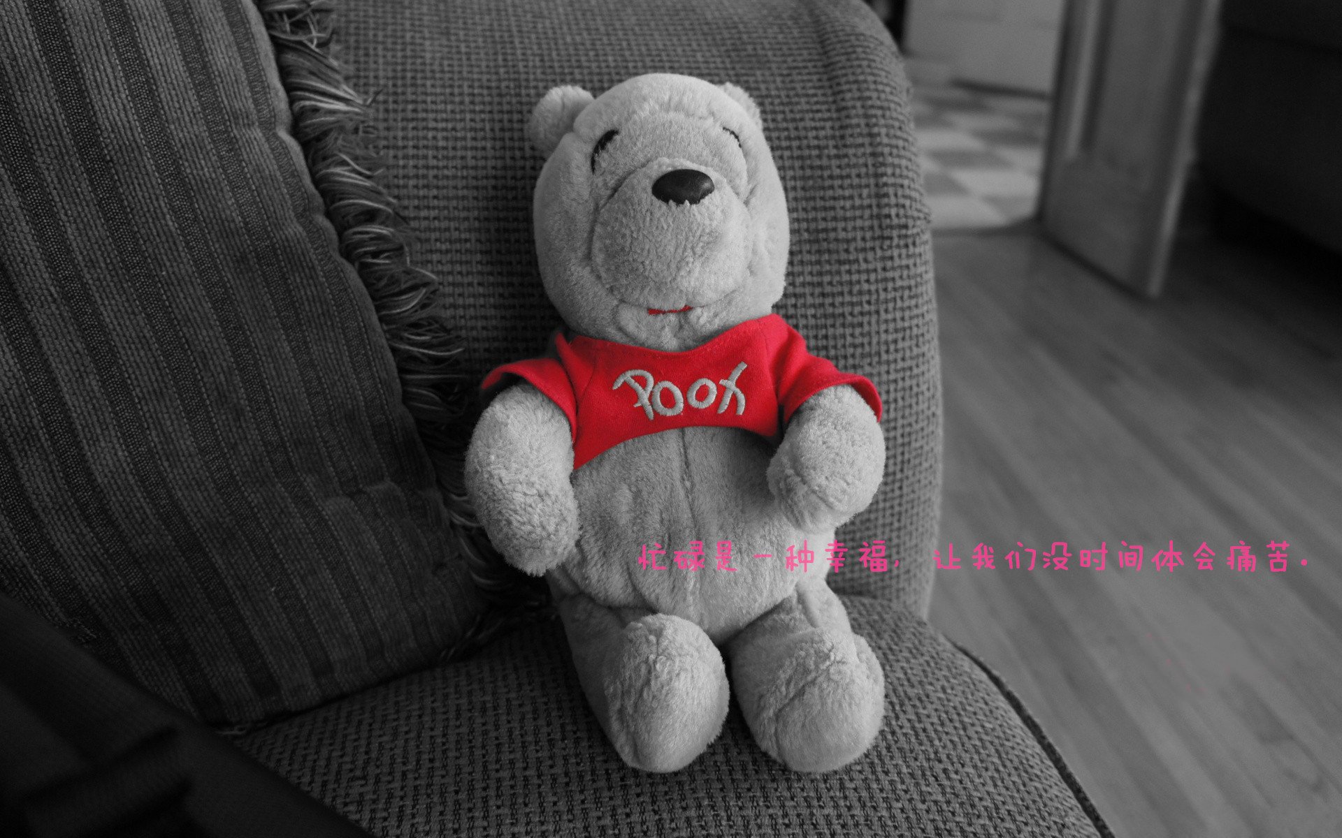 山西龙狮坚持团队第一理念塑造篮球文化,9月26日,龙狮篮球俱乐部股份有限公司在北京股转交