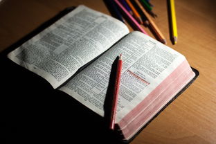 爱游戏体育app-体育教师能力认证制度在试点城市启动,体育教师资格证认定条件