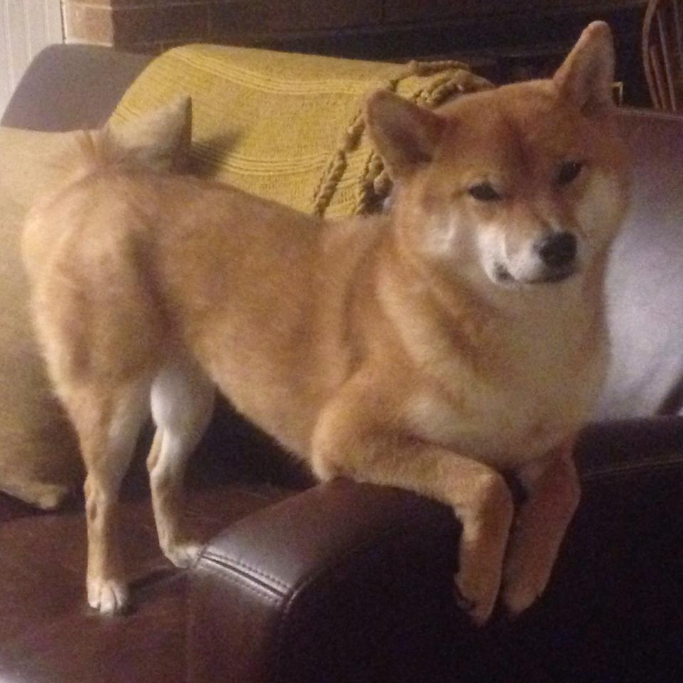 爱游戏在线登录入口-决赛焦点:赫梅列夫斯基保持高节奏,赫梅利尼茨基电影