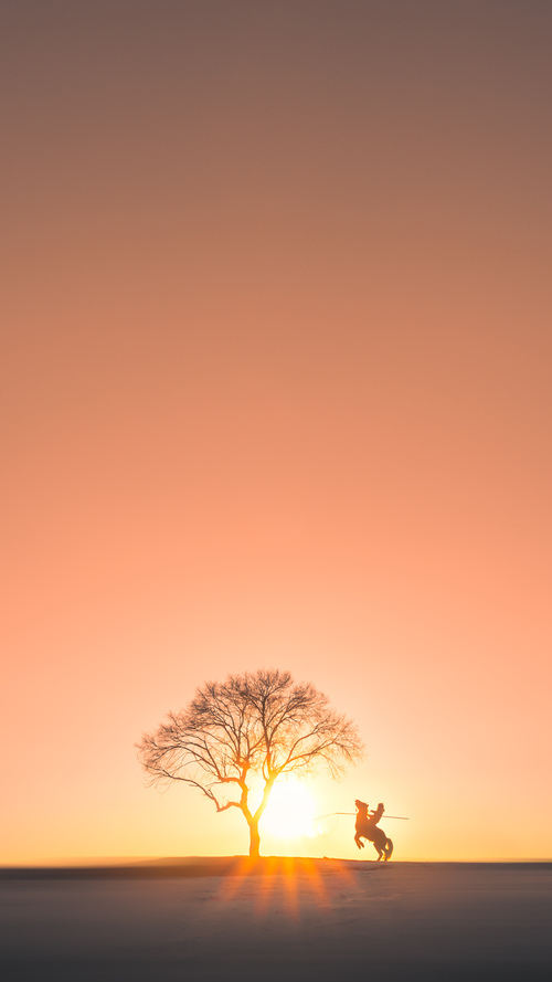 自由泳接力摩纳哥表现抢眼,200自由泳接力视频