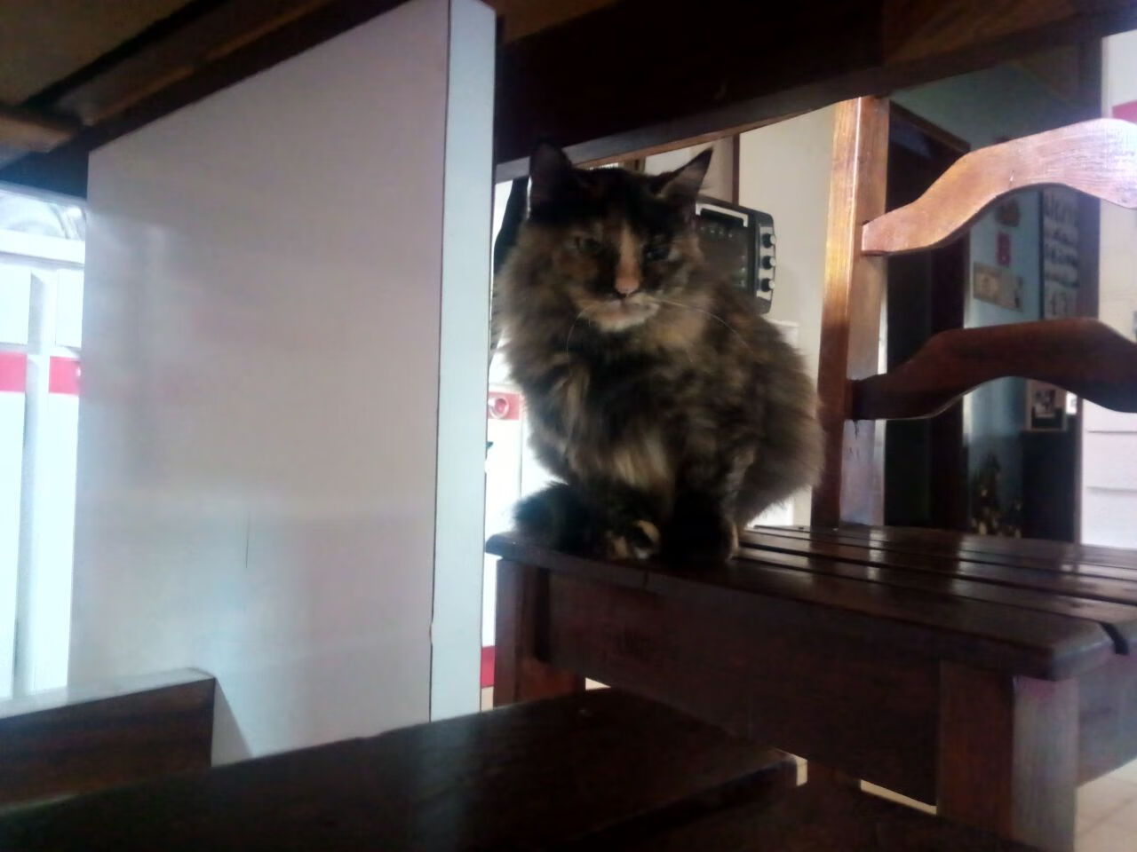 爱游戏-英超冲刺季：谁能笑到最后？精彩不断！，英超本轮集锦视频