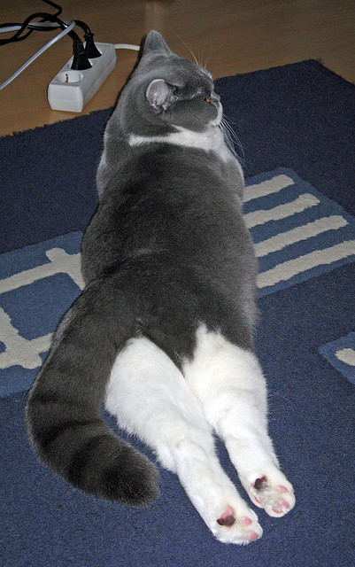 爱游戏体育平台-足球联赛转会市场热潮，足球转会市场排名