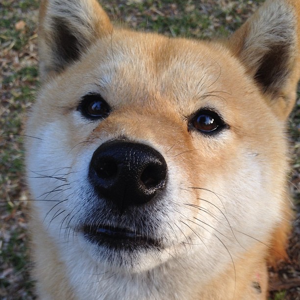 青少年足球夏令营结合科技体验，激发孩子创意与运动热情，青少年校园足球夏令营最佳阵容名单出炉啦