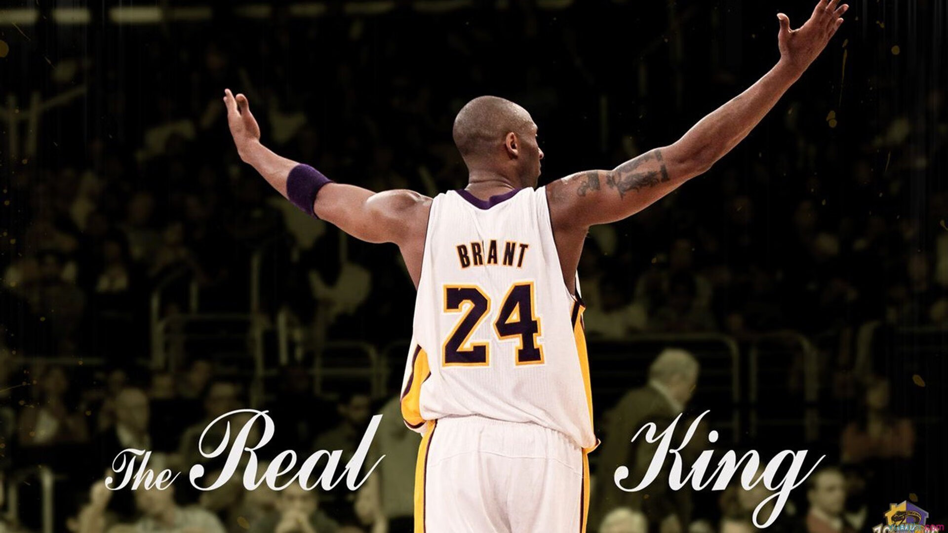 _梦想体育嘉年华：全民参与的欢乐盛典_，体育梦之队